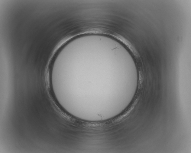 X0000112431078200908211156