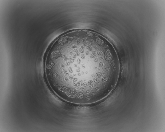 X0000112431079200908211156