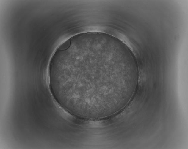 X0000112431080200908211156
