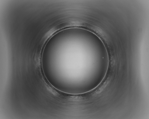 X0000112431081200908211156
