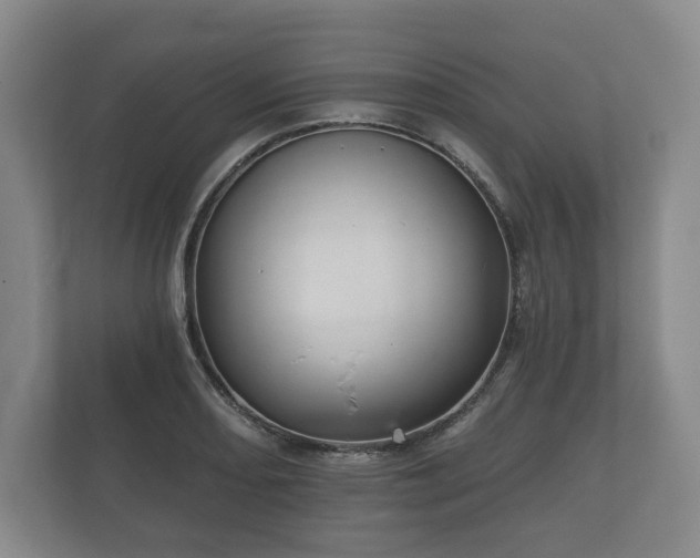 X0000112431082200908211156