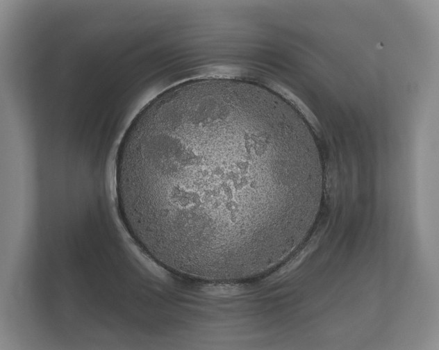 X0000112431083200908211155