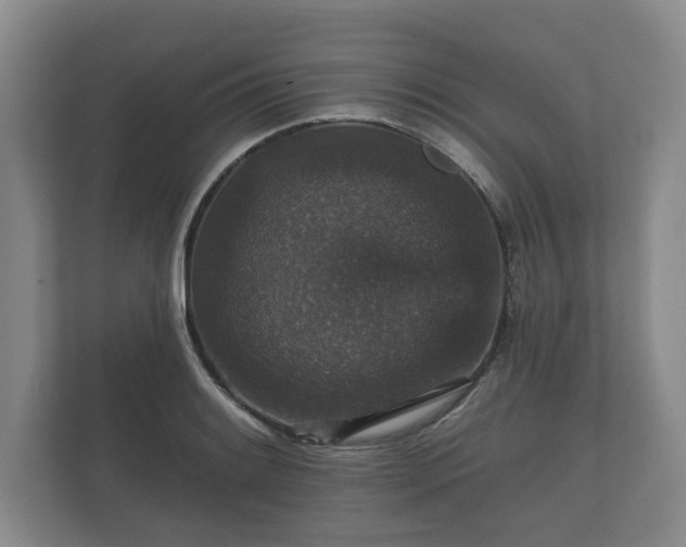 X0000112431084200908211155