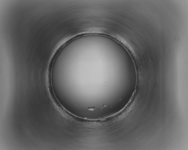 X0000112431085200908211155