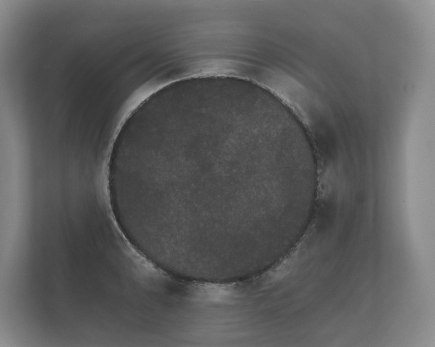 X0000112431086200908211155