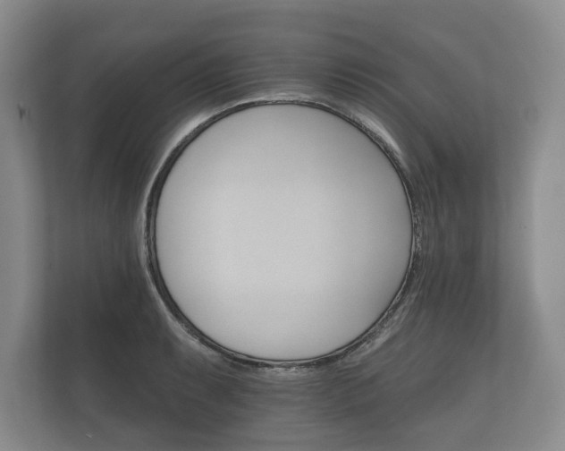 X0000112431087200908211155