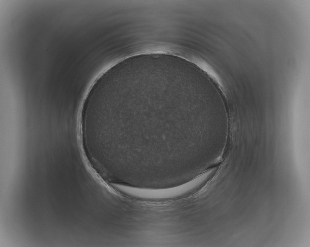 X0000112431088200908211155