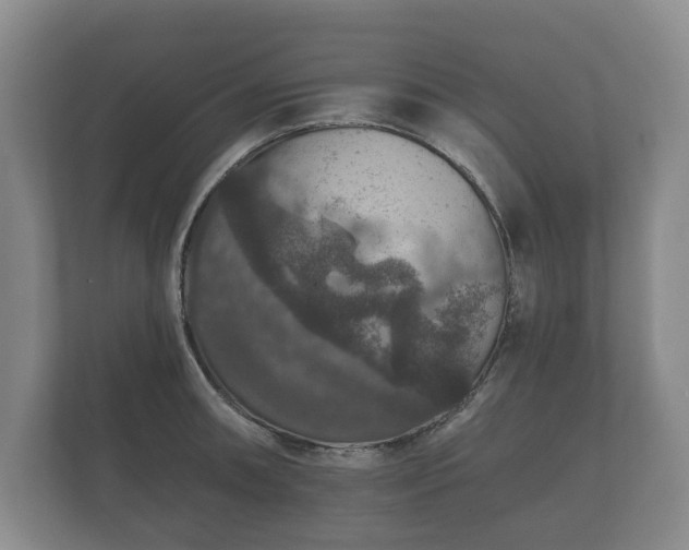 X0000112431090200908211155