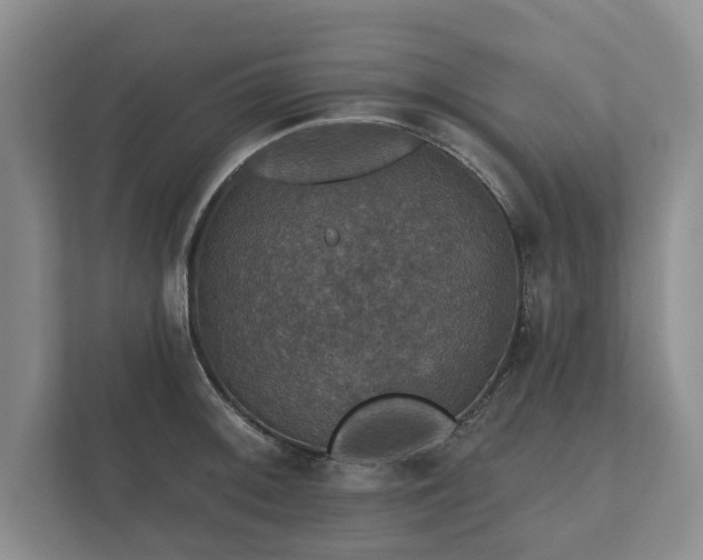 X0000112431092200908211155