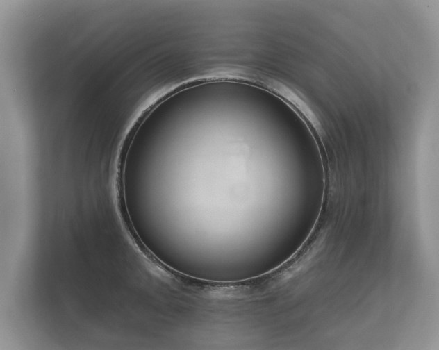 X0000112431093200908211155