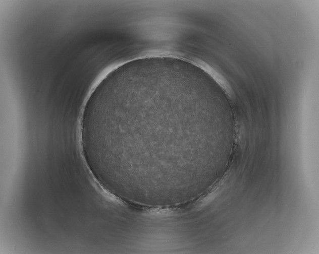 X0000112431094200908211155