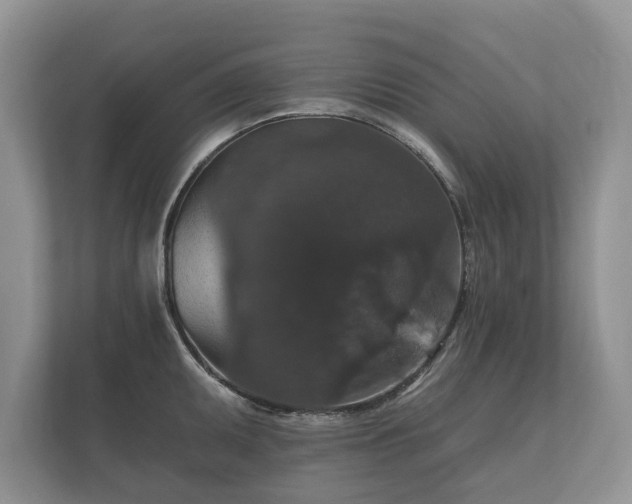 X0000112431095200908211155