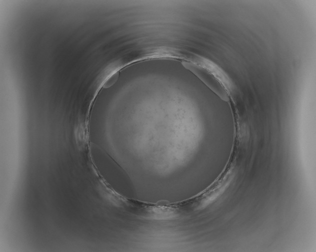 X0000112431097200908211155