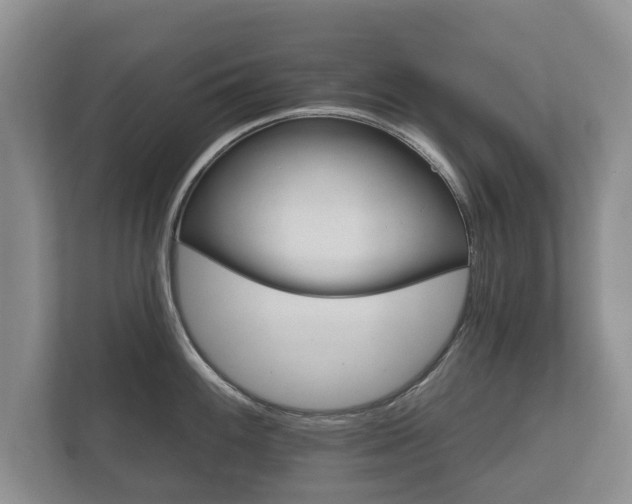 X0000112431100200908211155