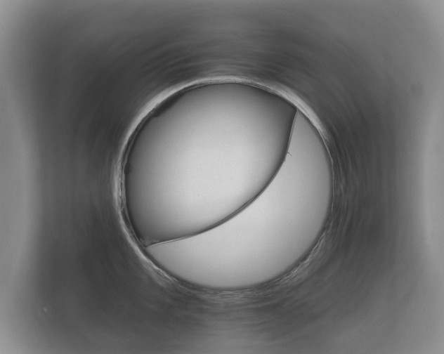 X0000112431101200908211155