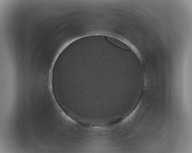 X0000112431102200908211155