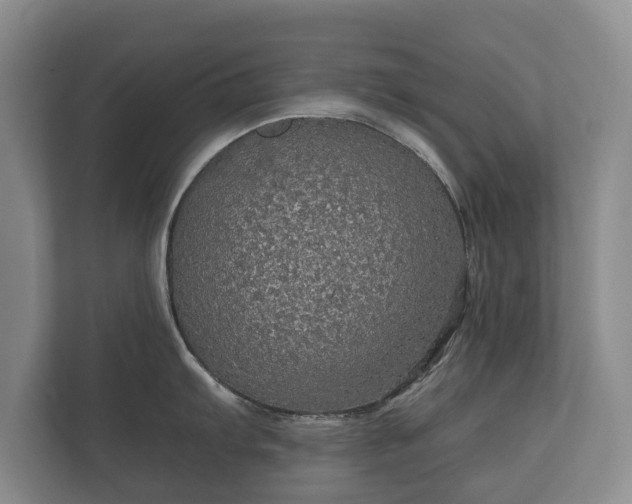 X0000112431103200908211155