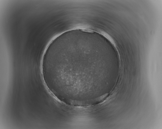 X0000112431104200908211155