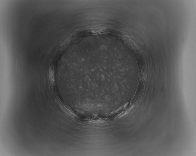 X0000112431106200908211155