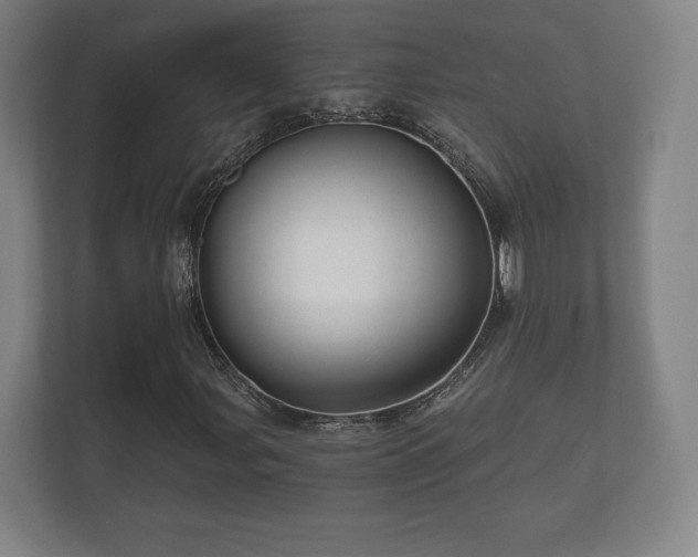 X0000112431107200908211155