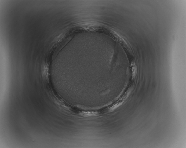 X0000112431108200908211155