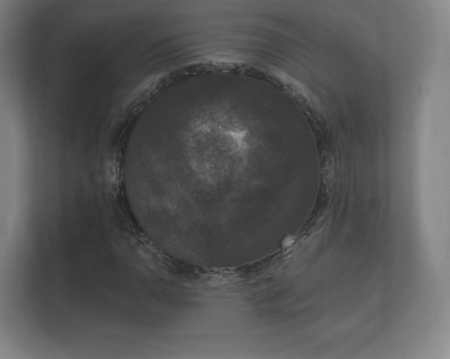 X0000112431110200908211155