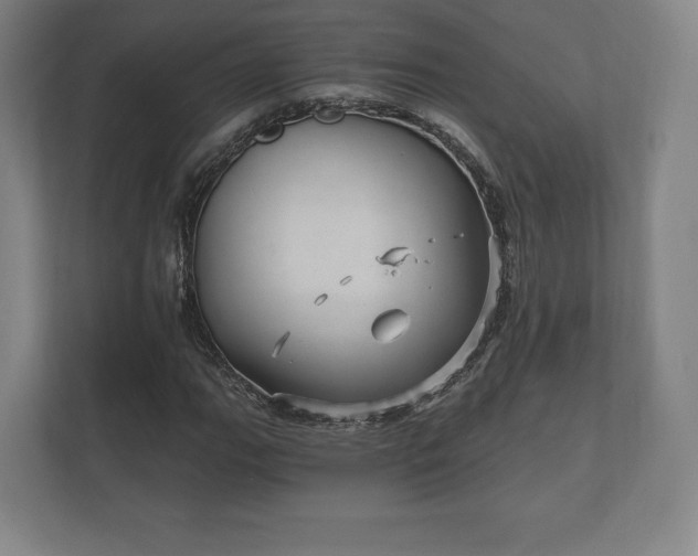 X0000112431111200908211155
