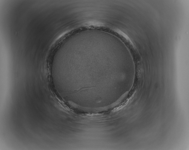 X0000112431112200908211155