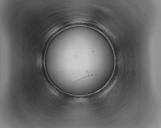 X0000112431113200908211155