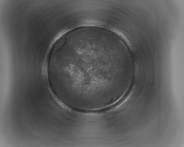 X0000112431114200908211155