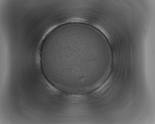 X0000112431115200908211155