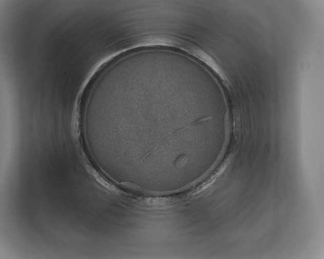 X0000112431116200908211155