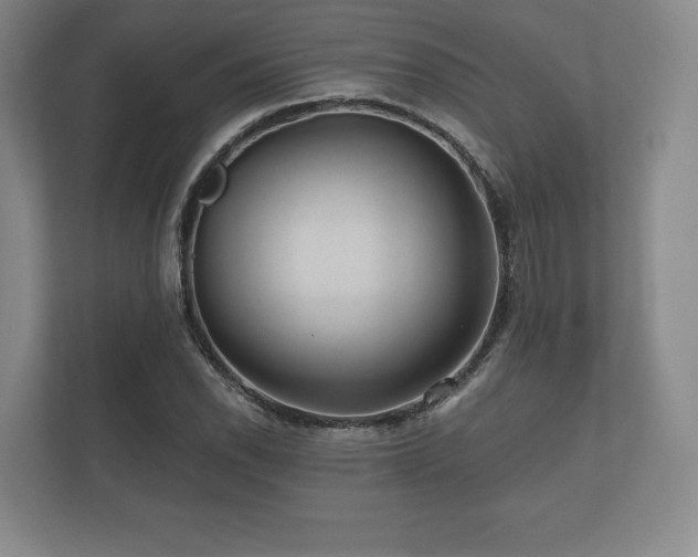 X0000112431118200908211155