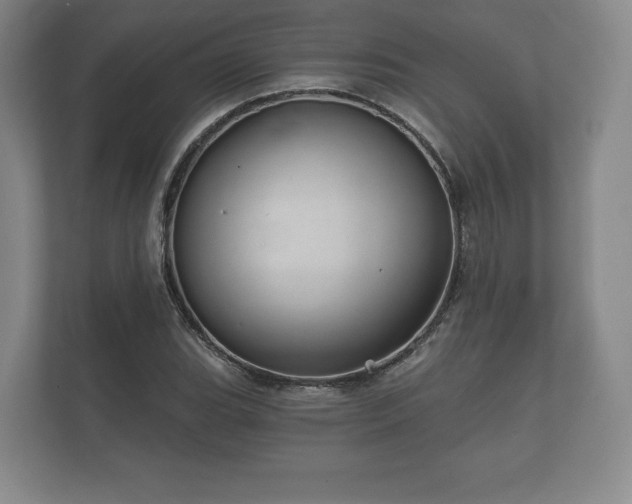 X0000112431119200908211155