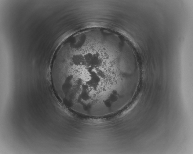 X0000112431121200908211155
