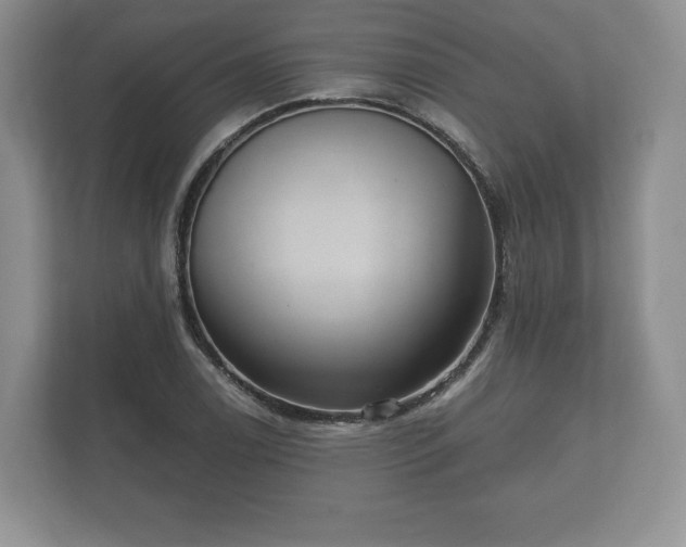 X0000112431122200908211155