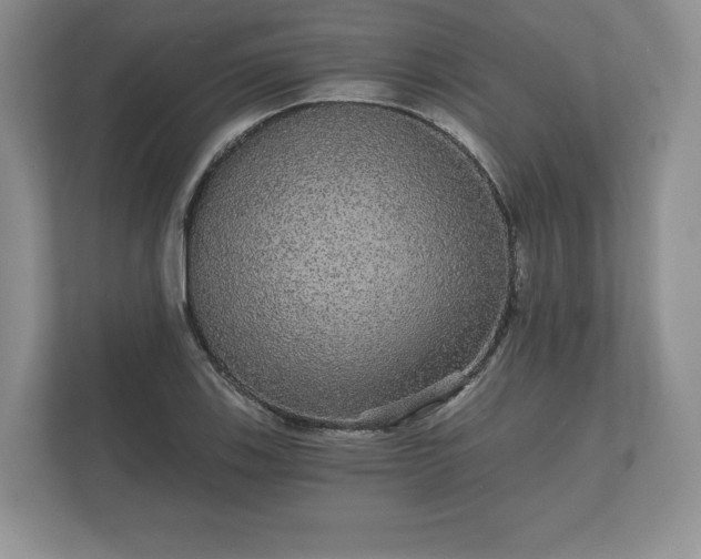 X0000112431123200908211155