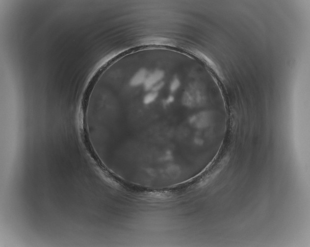 X0000112431125200908211155