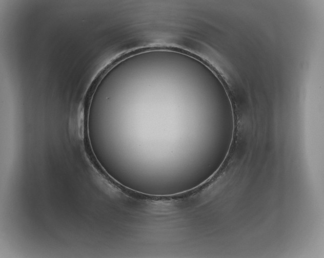 X0000112431126200908211155