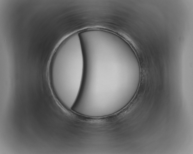 X0000112431127200908211155