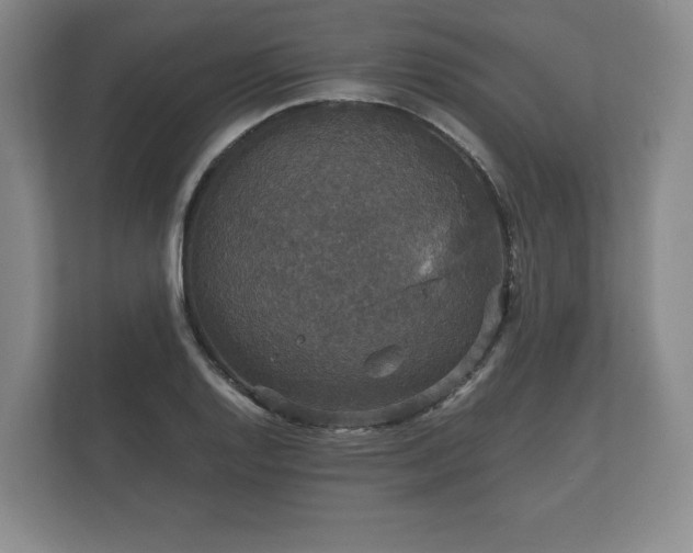 X0000112431128200908211155