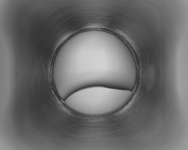 X0000112431129200908211155