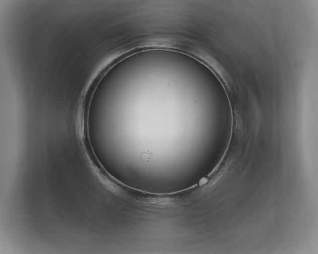 X0000112431131200908211155