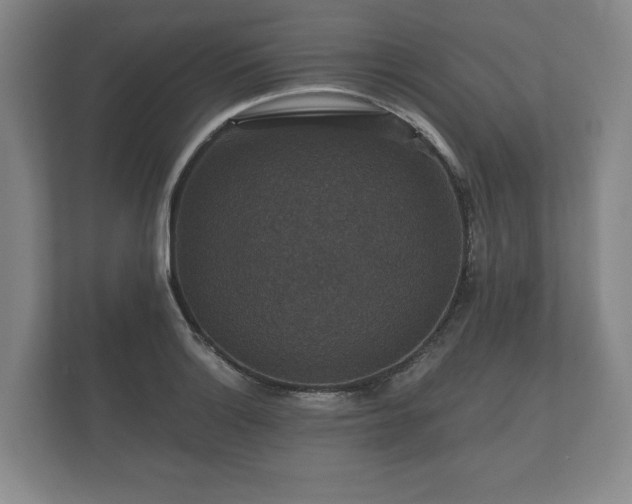 X0000112431132200908211155
