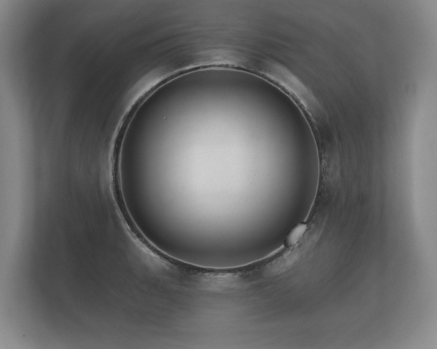 X0000112431135200908211155