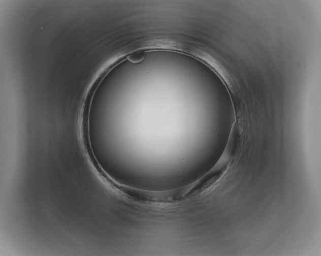 X0000112431139200908211155