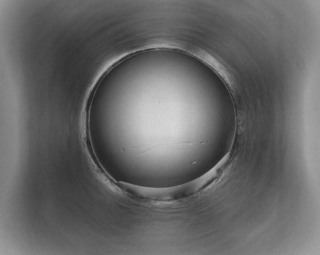 X0000112431140200908211155