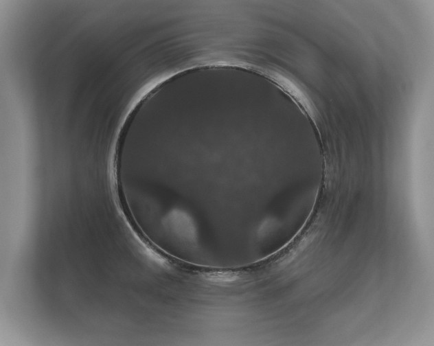 X0000112431141200908211155