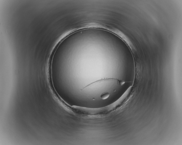 X0000112431142200908211155