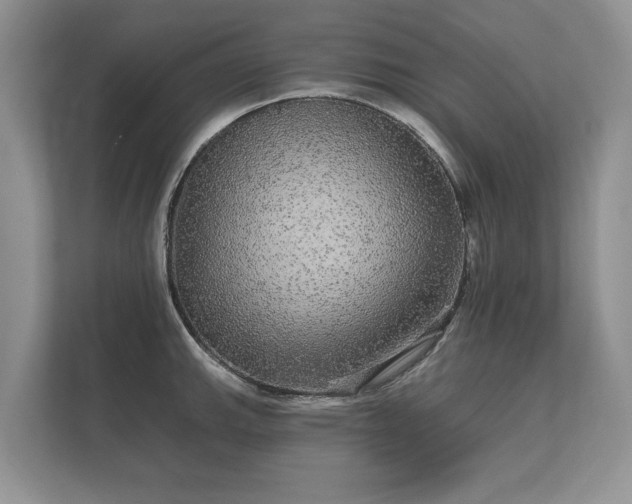 X0000112431143200908211155